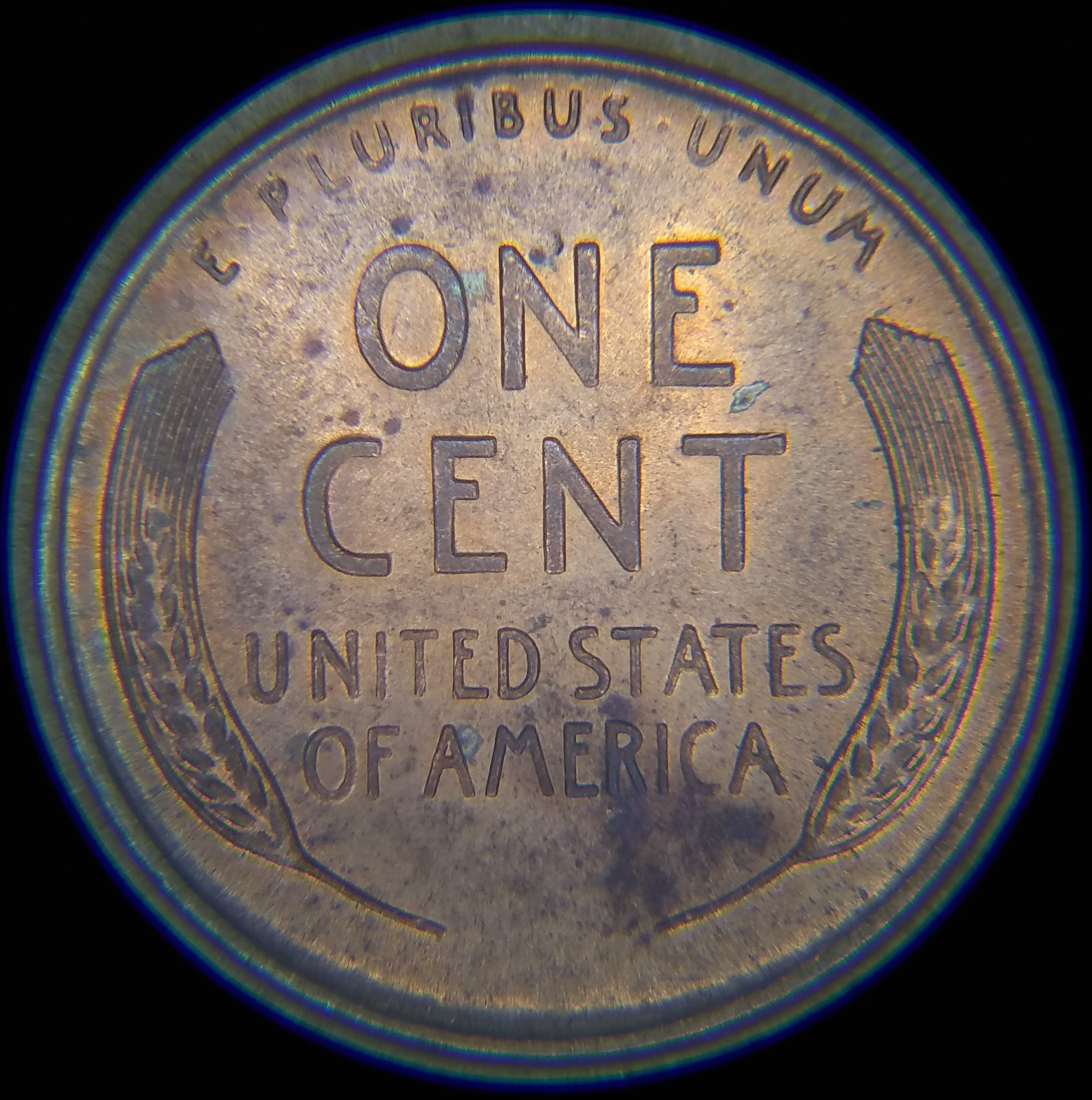 Listed Item Image