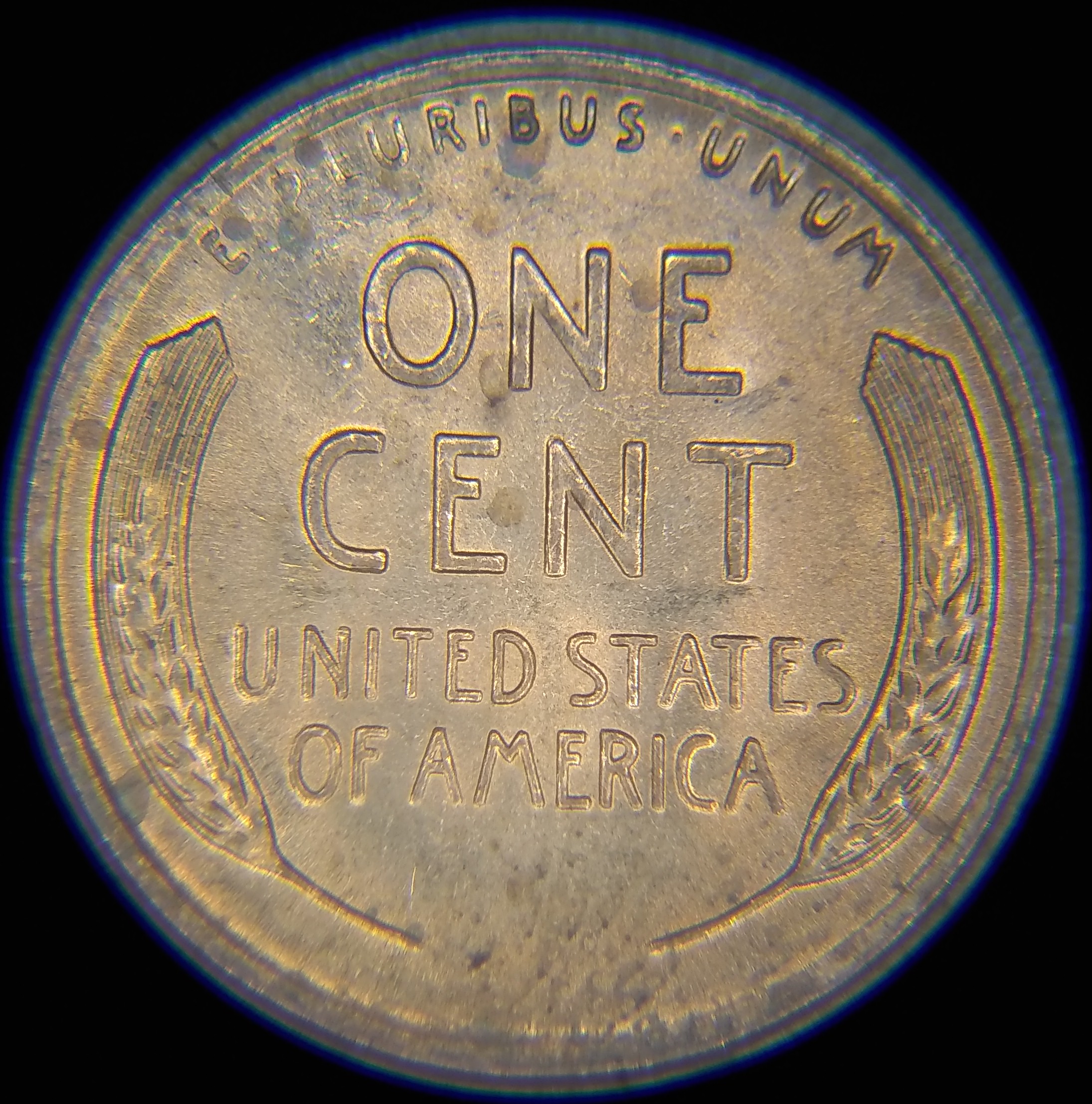 Listed Item Image