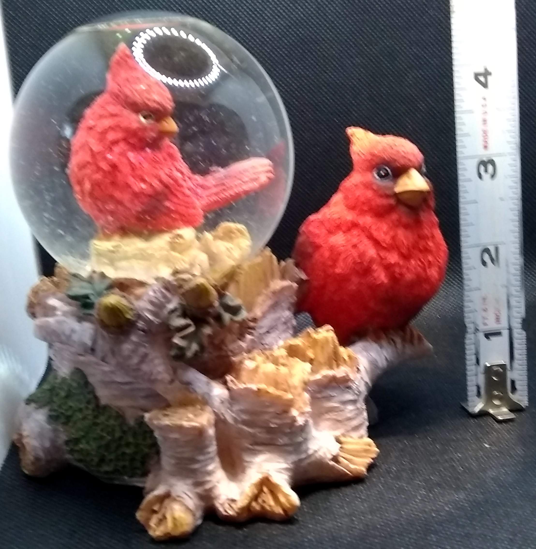 Listed Item Image