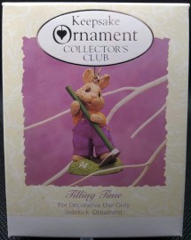 Image of the item