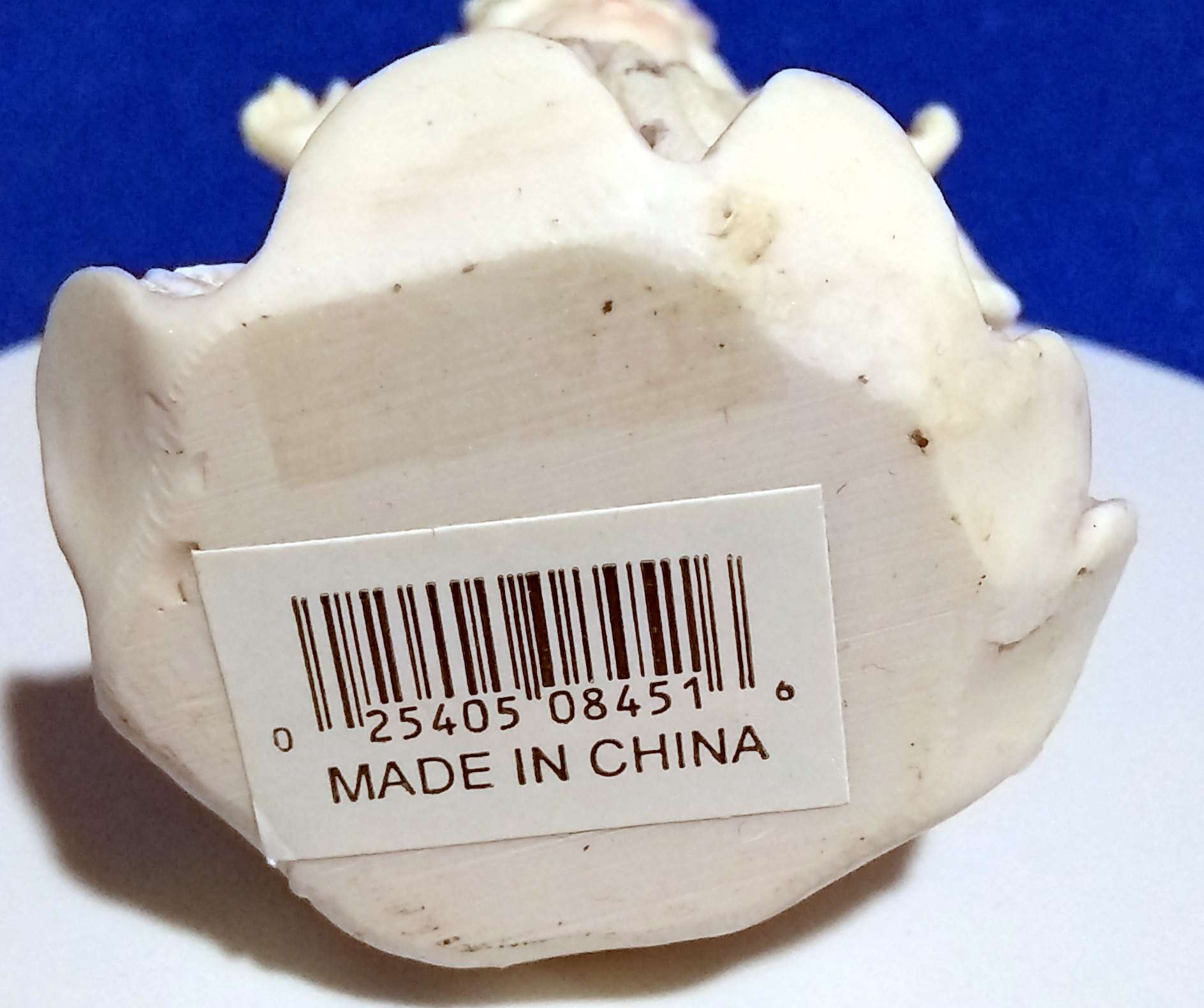 Listed Item Image