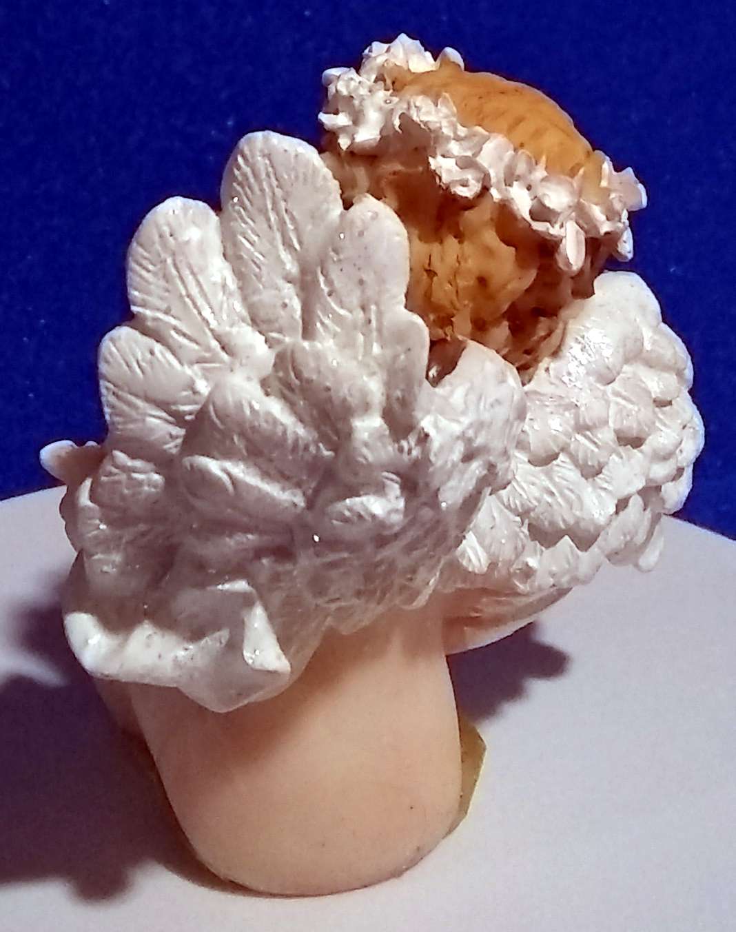 Listed Item Image