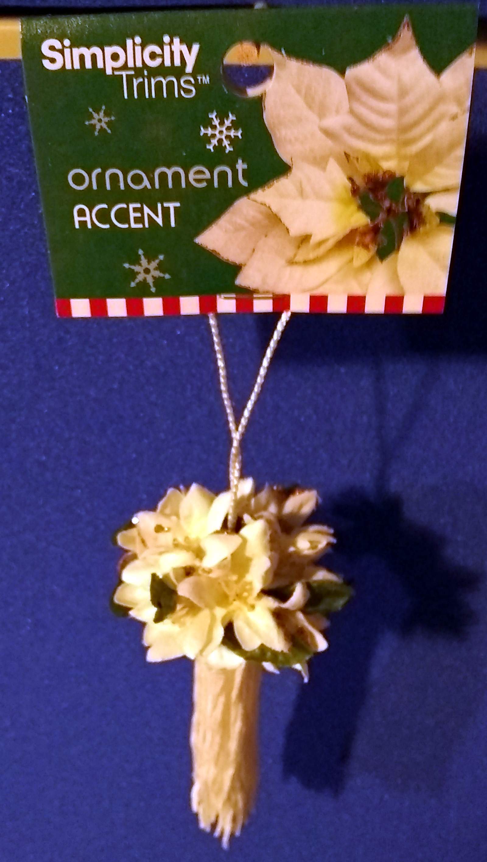 Listed Item Image