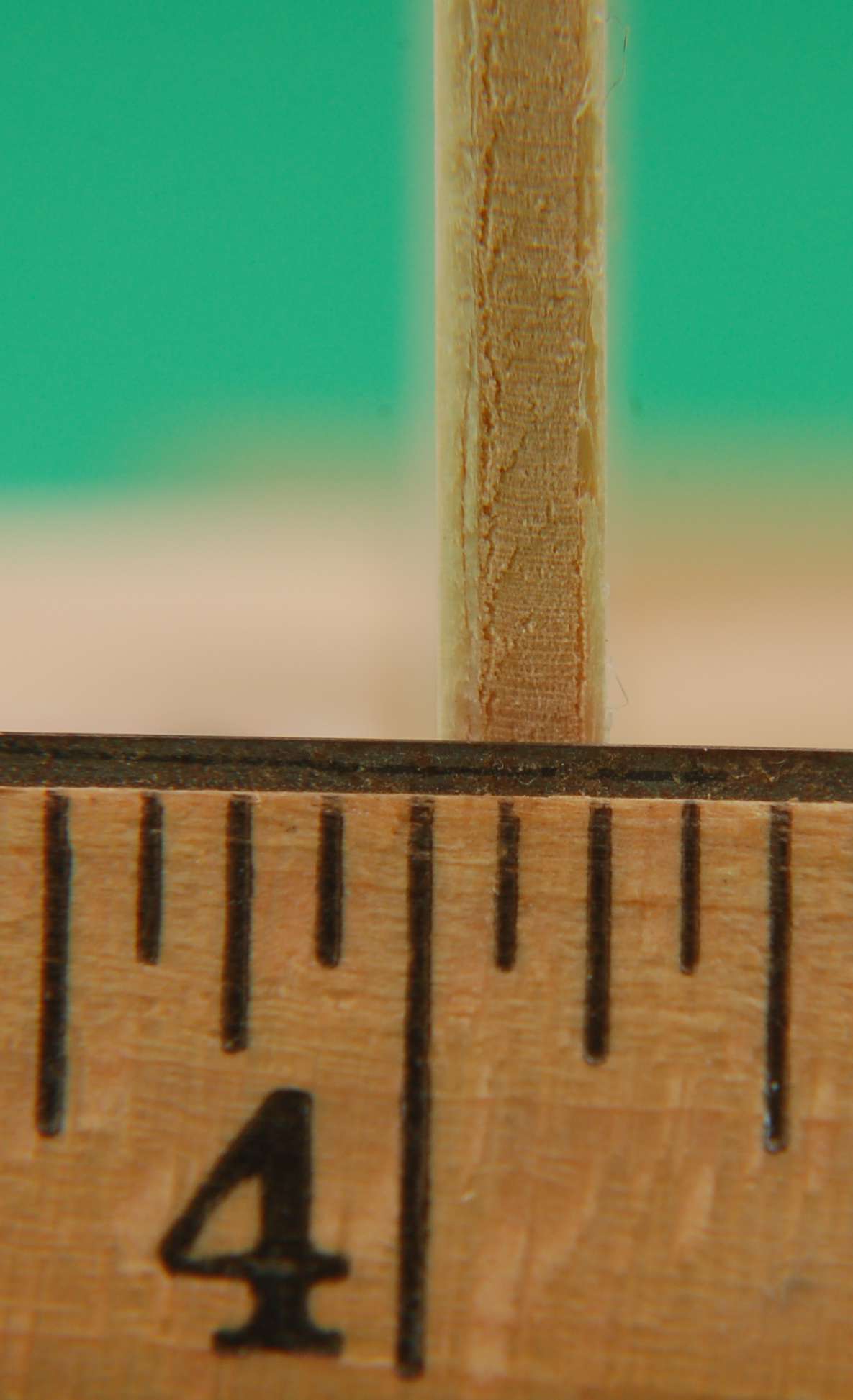 Listed Item Image