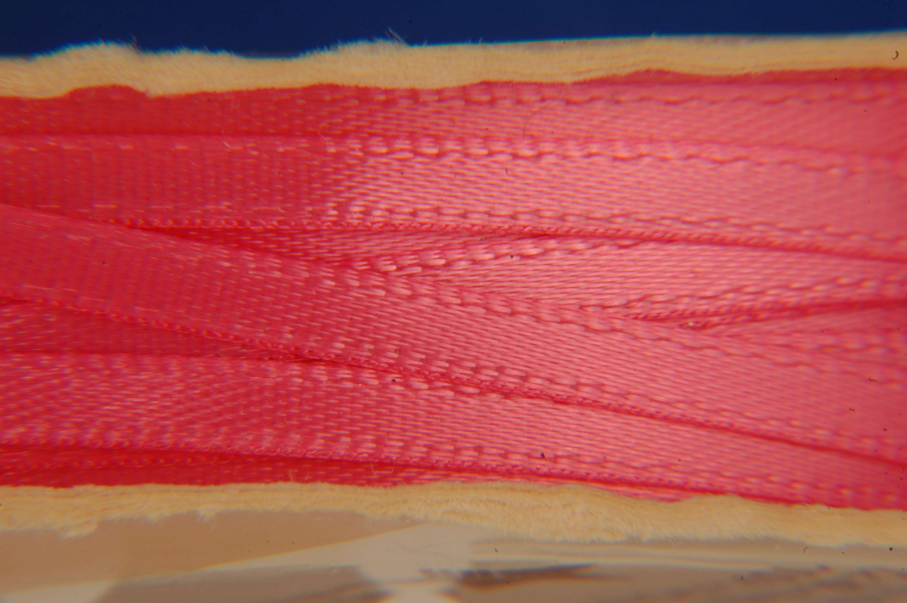 Listed Item Image