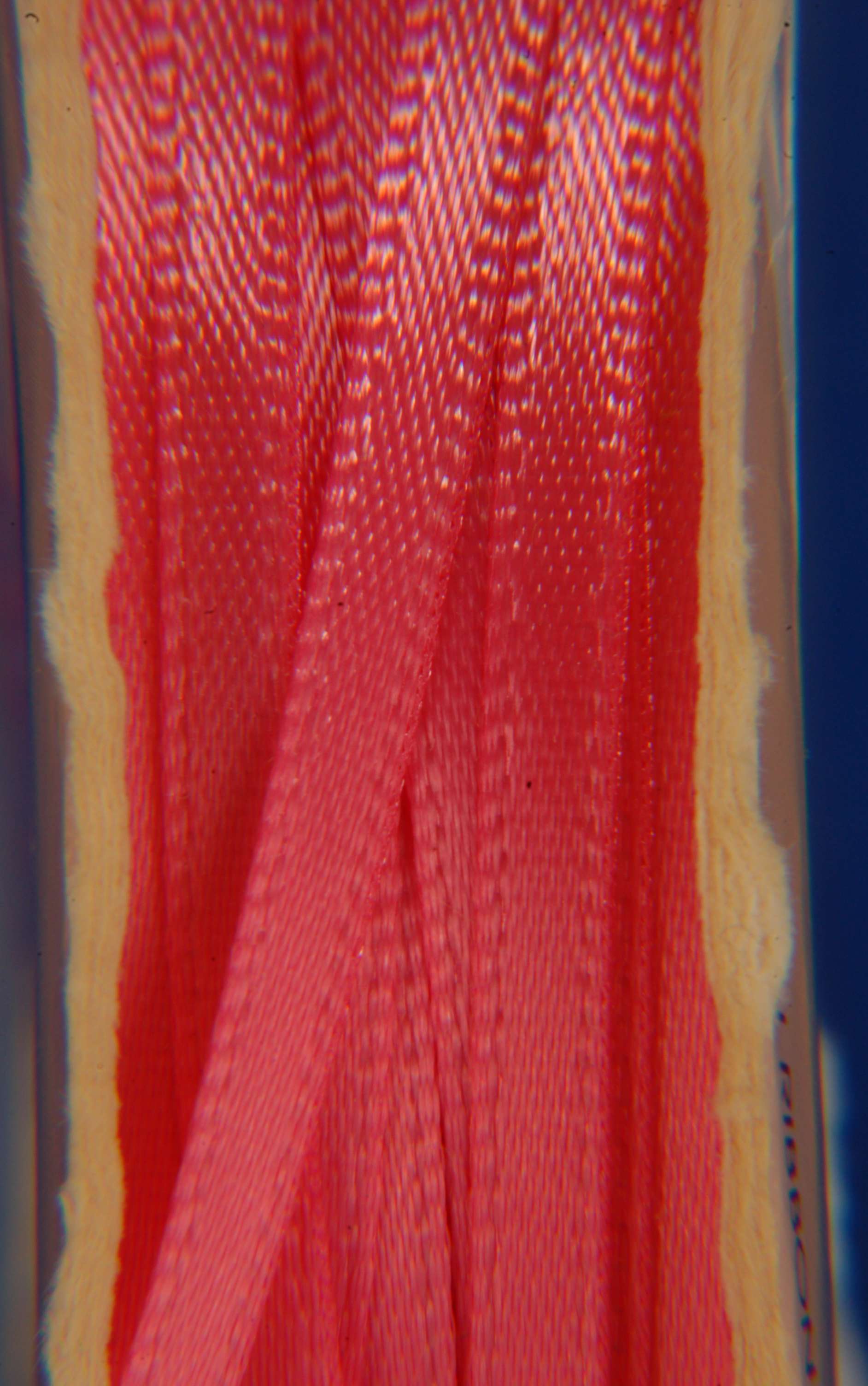 Listed Item Image