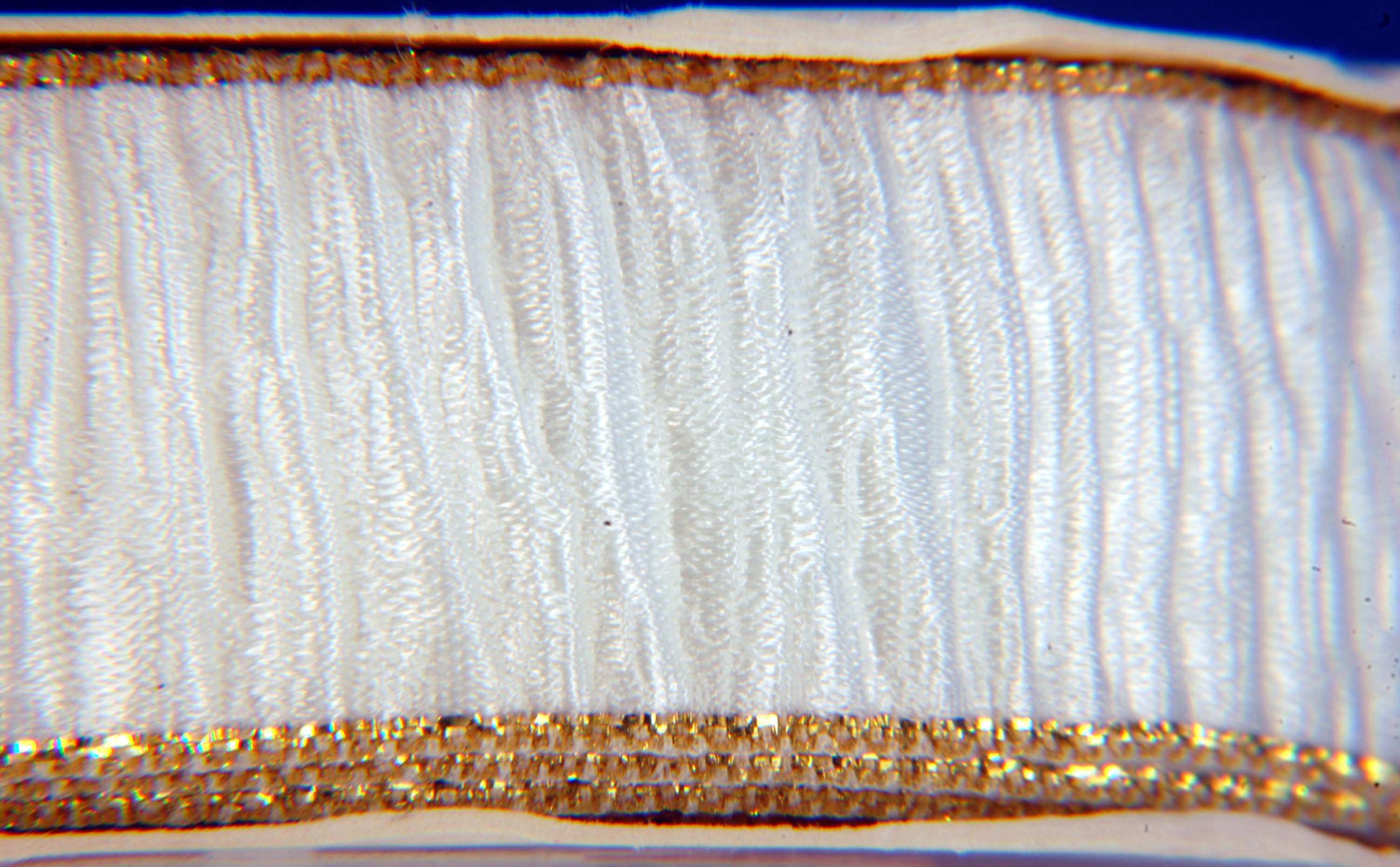 Listed Item Image