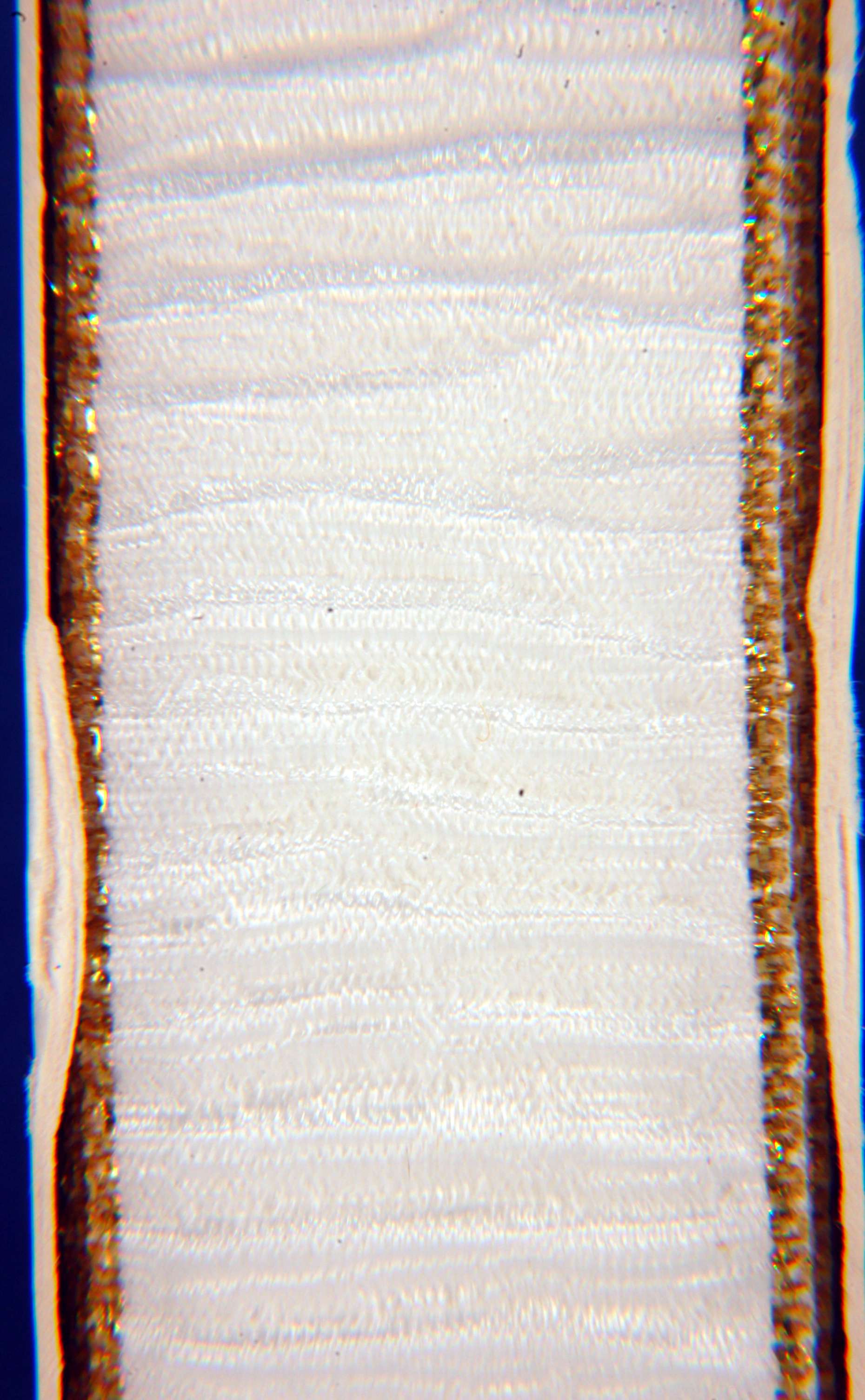 Listed Item Image