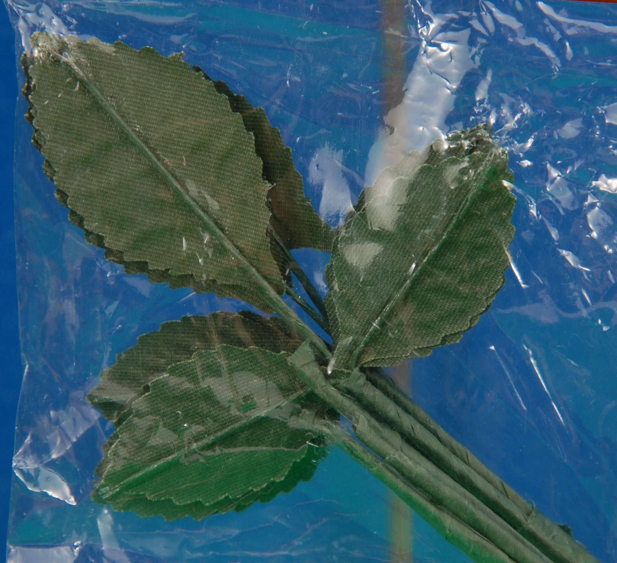 Listed Item Image
