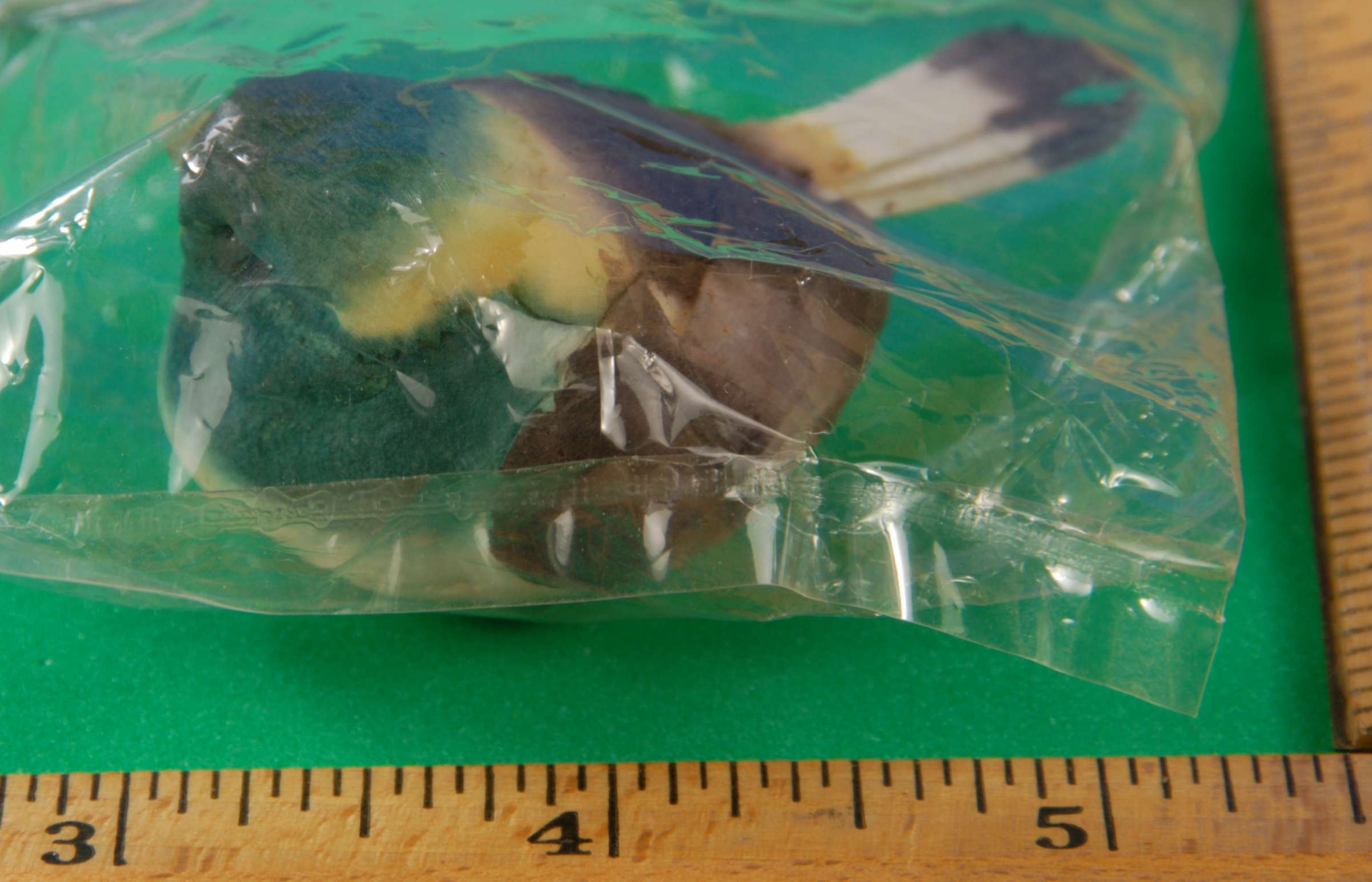 Listed Item Image