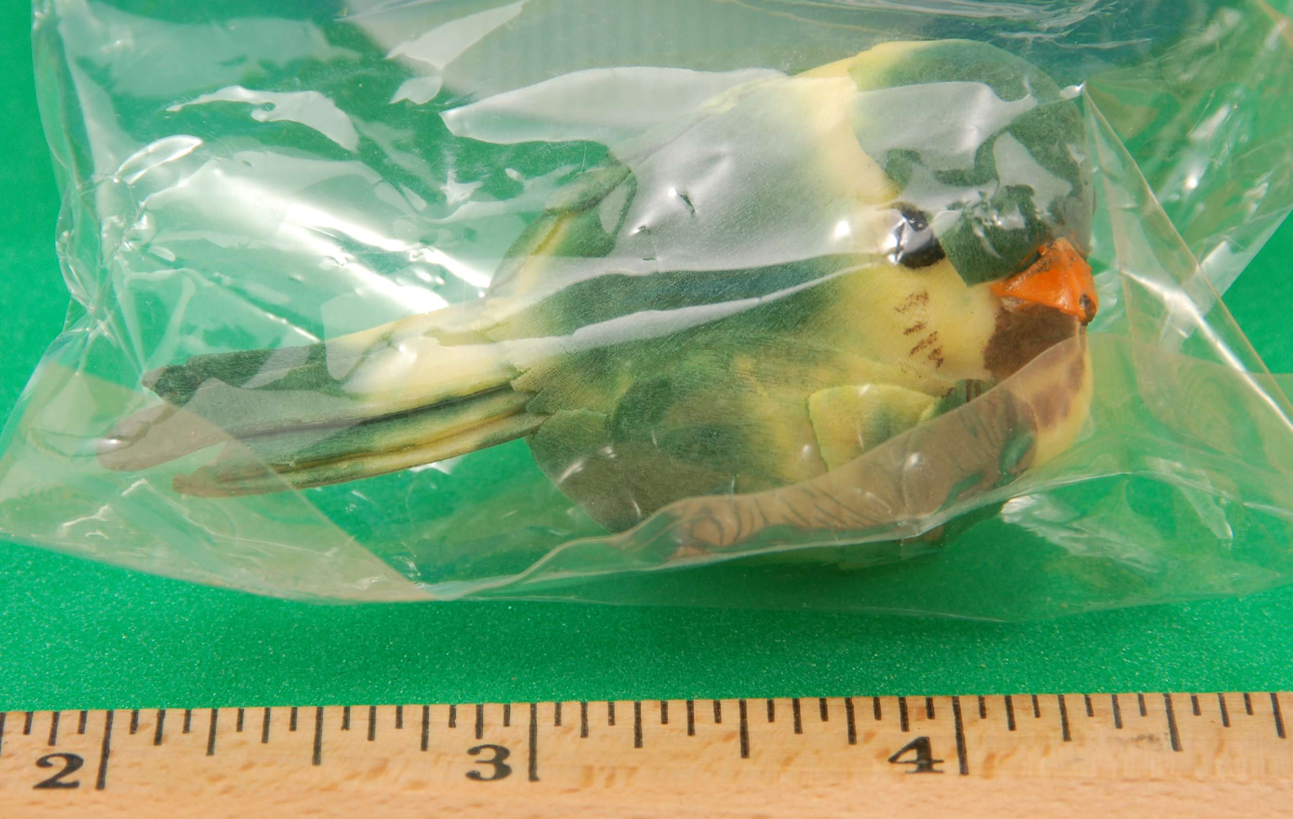 Listed Item Image